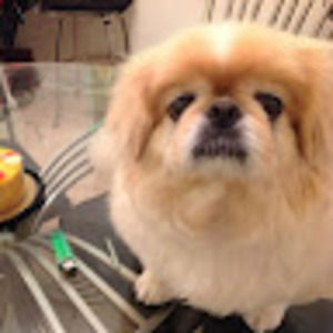 Meet your Posher, Malini